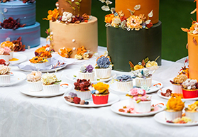 �決������ѵ